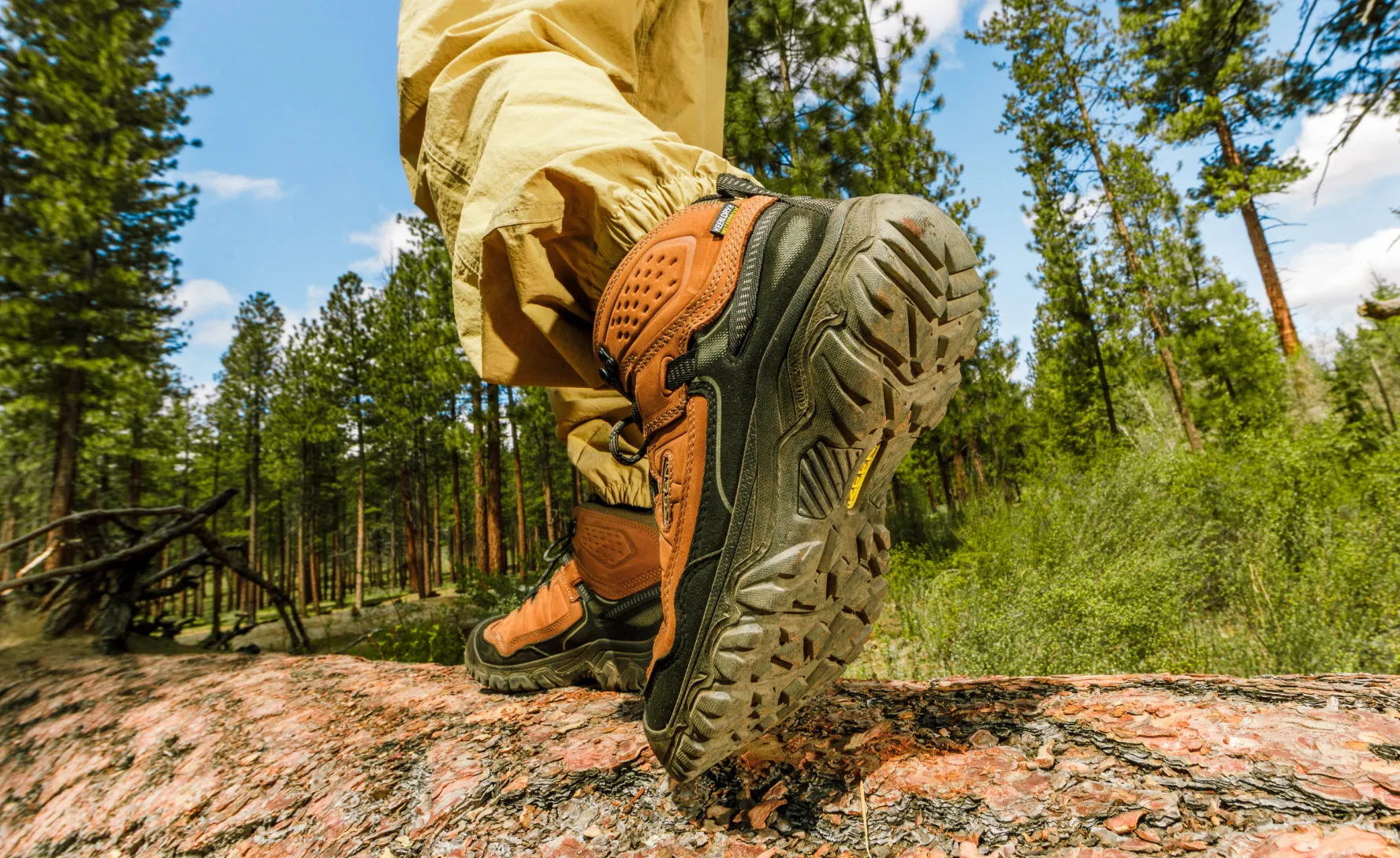 Men's Targhee IV Wide Waterproof Hiking Boot  |  Bison/Black